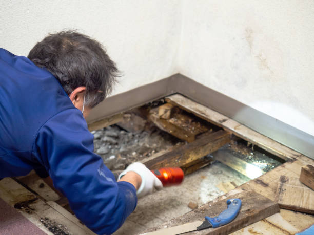 Best Post-Remediation Services in Eaton Estates, OH