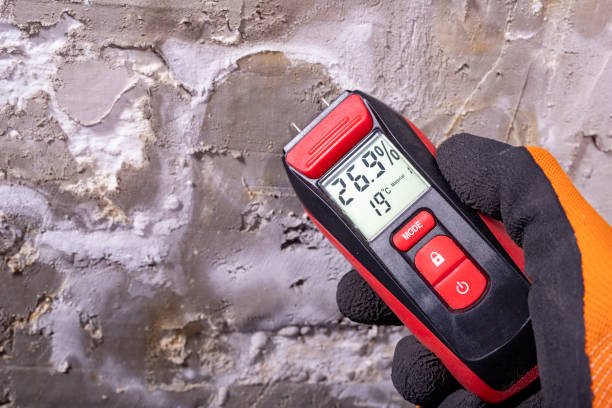 Best HVAC Mold Remediation in Eaton Estates, OH