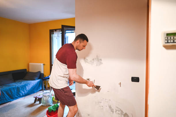 Best Residential Mold Remediation in Eaton Estates, OH